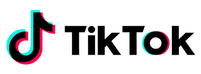 Integrate TikTok Ads